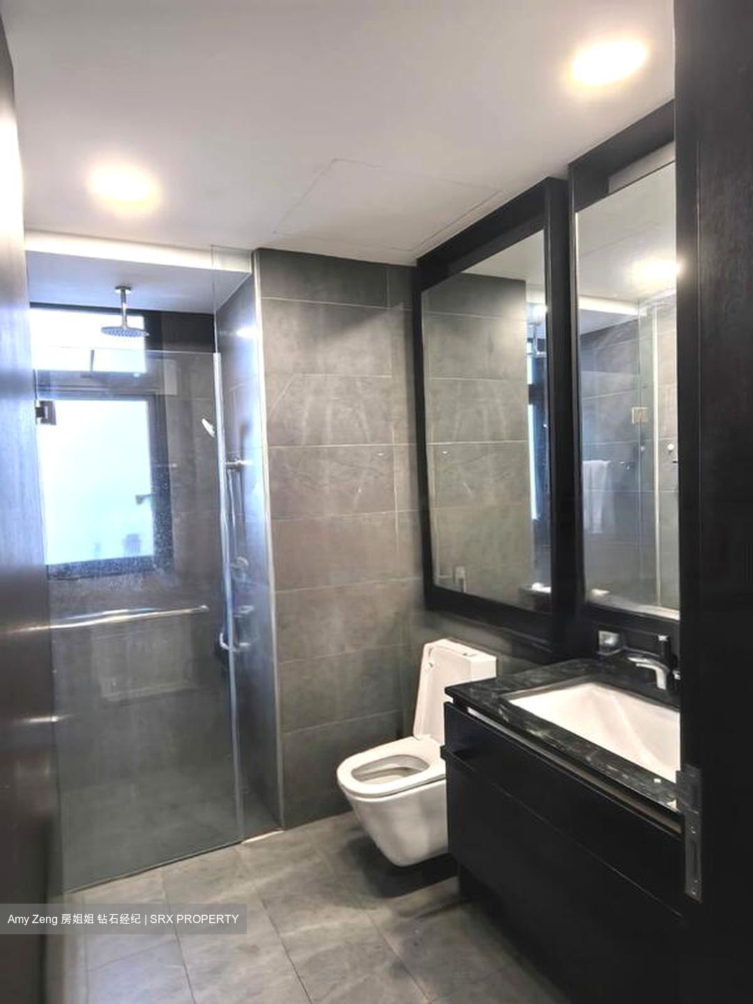 Park Colonial (D13), Condominium #448113741